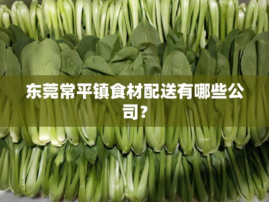 东莞常平镇食材配送有哪些公司？
