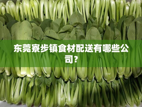 东莞寮步镇食材配送有哪些公司？