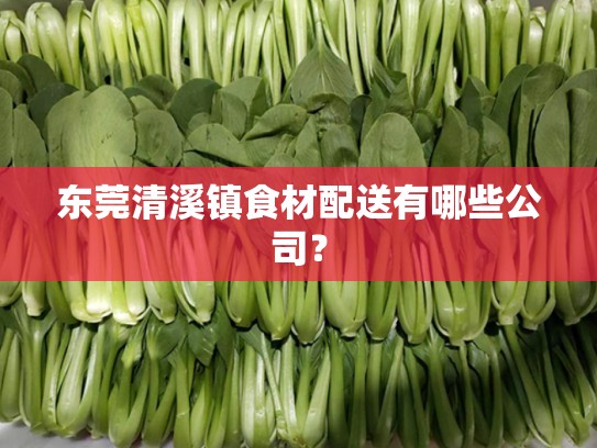 东莞清溪镇食材配送有哪些公司？