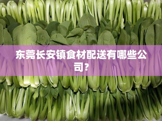 东莞长安镇食材配送有哪些公司？