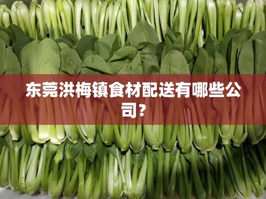 东莞洪梅镇食材配送有哪些公司？