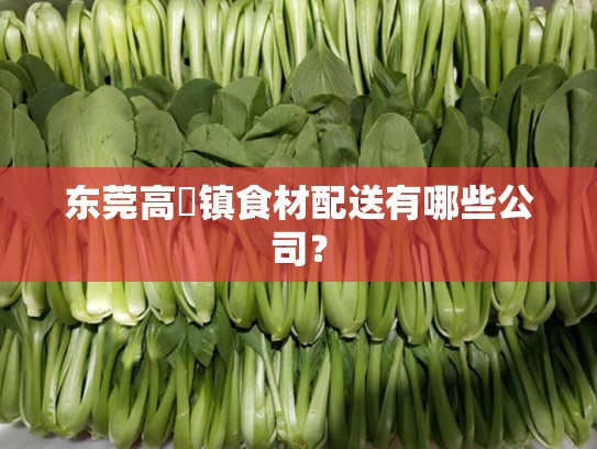 东莞高埗镇食材配送有哪些公司？