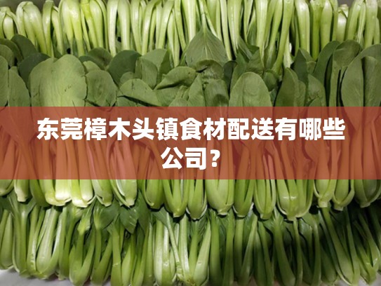 东莞樟木头镇食材配送有哪些公司？