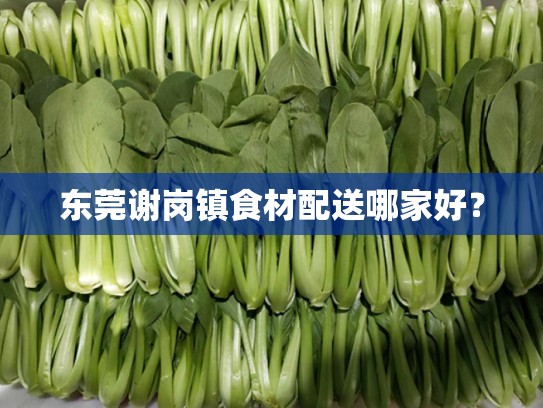 东莞谢岗镇食材配送哪家好？