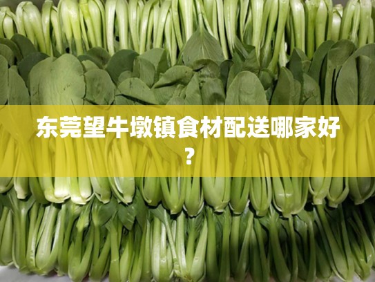 东莞望牛墩镇食材配送哪家好？