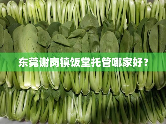 东莞谢岗镇饭堂托管哪家好？