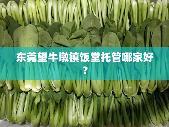 东莞望牛墩镇饭堂托管哪家好？
