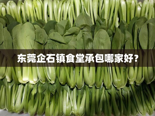 东莞企石镇食堂承包哪家好？