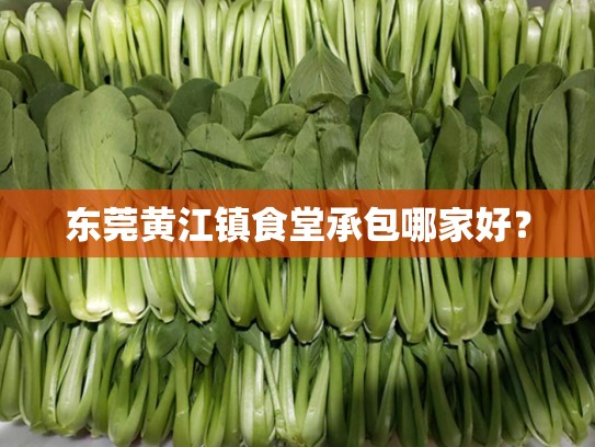 东莞黄江镇食堂承包哪家好？