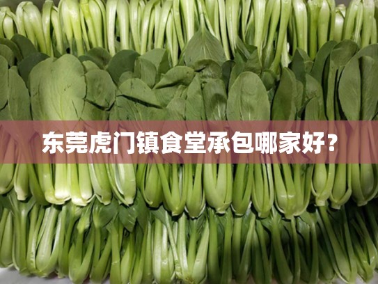 东莞虎门镇食堂承包哪家好？
