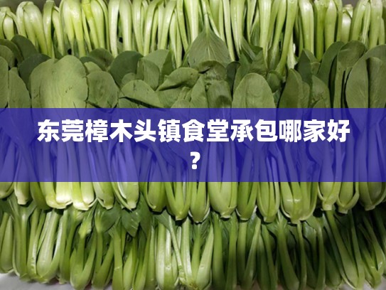 东莞樟木头镇食堂承包哪家好？