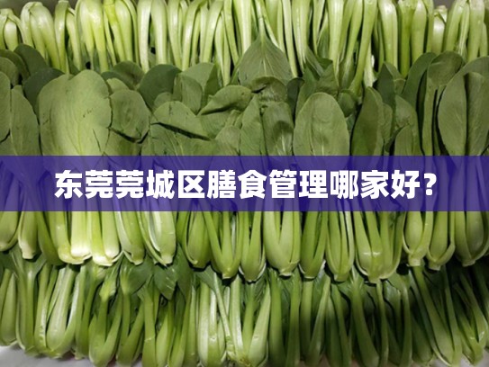 东莞莞城区膳食管理哪家好？