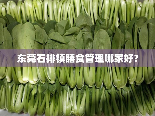 东莞石排镇膳食管理哪家好？