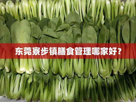 东莞寮步镇膳食管理哪家好？
