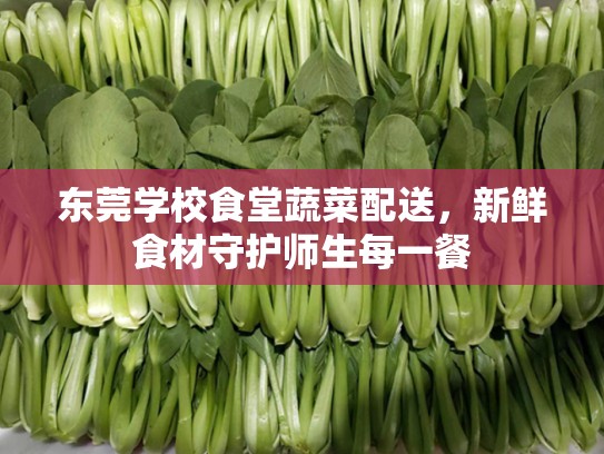 东莞学校食堂蔬菜配送，新鲜食材守护师生每一餐