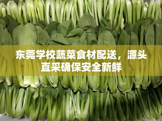 东莞学校蔬菜食材配送，源头直采确保安全新鲜