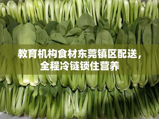 教育机构食材东莞镇区配送，全程冷链锁住营养