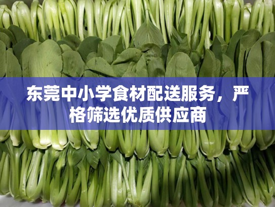 东莞中小学食材配送服务，严格筛选优质供应商