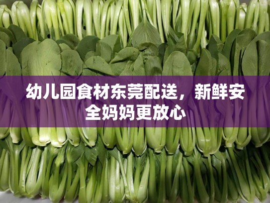 幼儿园食材东莞配送，新鲜安全妈妈更放心