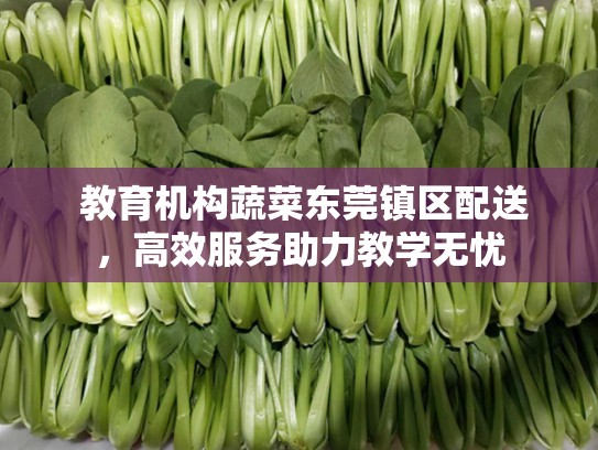  教育机构蔬菜东莞镇区配送，高效服务助力教学无忧