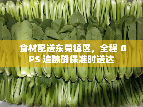  食材配送东莞镇区，全程 GPS 追踪确保准时送达