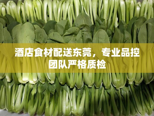 酒店食材配送东莞，专业品控团队严格质检