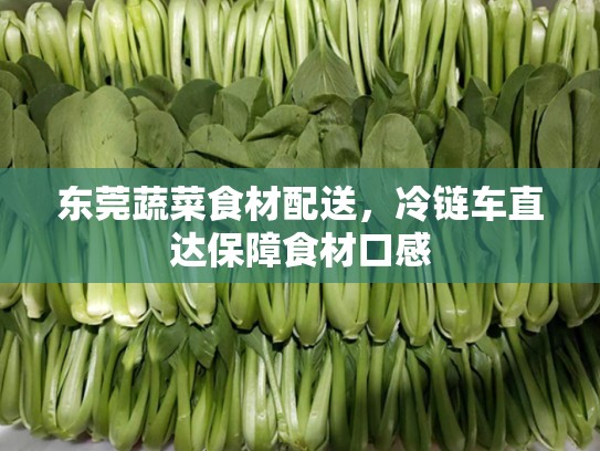 东莞蔬菜食材配送，冷链车直达保障食材口感