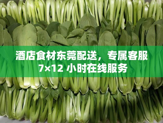 酒店食材东莞配送，专属客服 7×12 小时在线服务