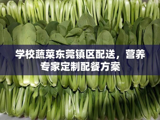 学校蔬菜东莞镇区配送，营养专家定制配餐方案