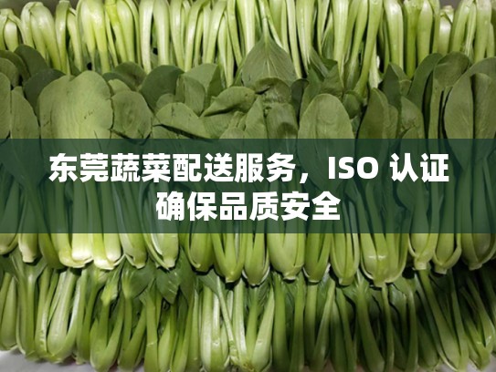 东莞蔬菜配送服务，ISO 认证确保品质安全