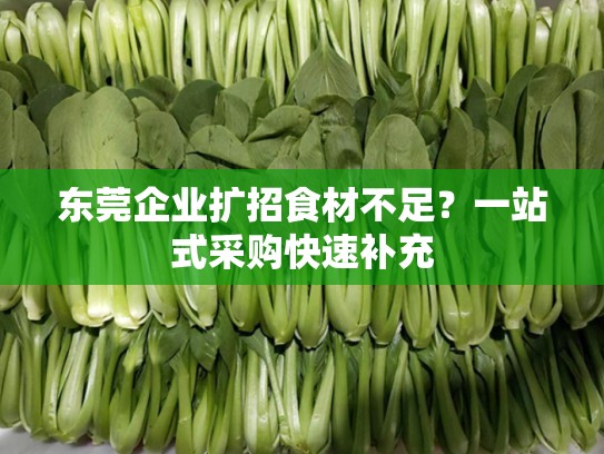 东莞企业扩招食材不足？一站式采购快速补充