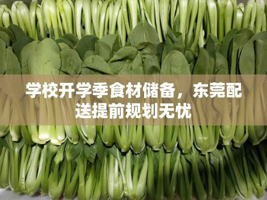 学校开学季食材储备，东莞配送提前规划无忧