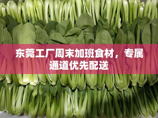 东莞工厂周末加班食材，专属通道优先配送