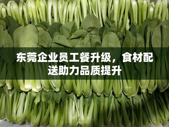 东莞企业员工餐升级，食材配送助力品质提升