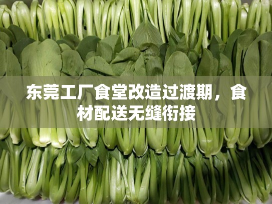 东莞工厂食堂改造过渡期，食材配送无缝衔接