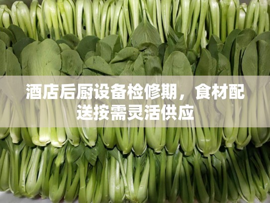 酒店后厨设备检修期，食材配送按需灵活供应