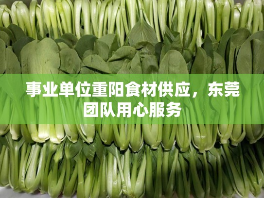 事业单位重阳食材供应，东莞团队用心服务