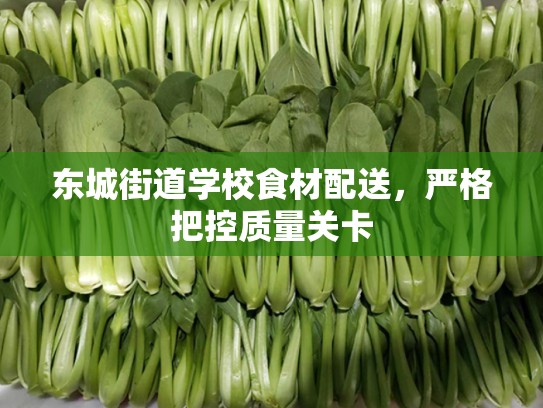东城街道学校食材配送，严格把控质量关卡