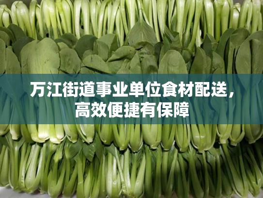 万江街道事业单位食材配送，高效便捷有保障