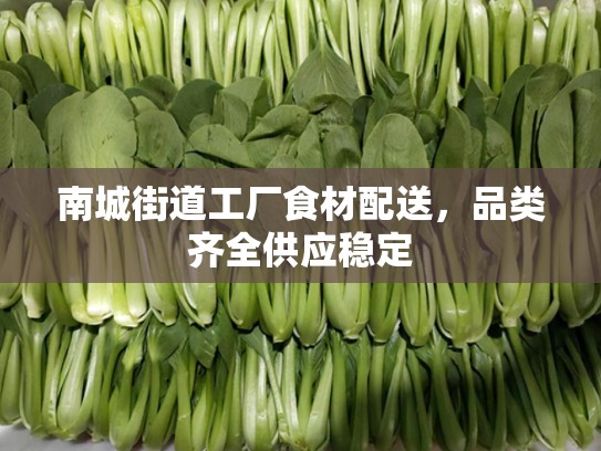 南城街道工厂食材配送，品类齐全供应稳定