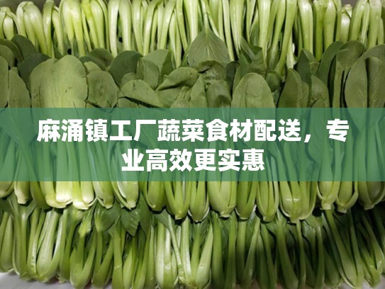 麻涌镇工厂蔬菜食材配送，专业高效更实惠