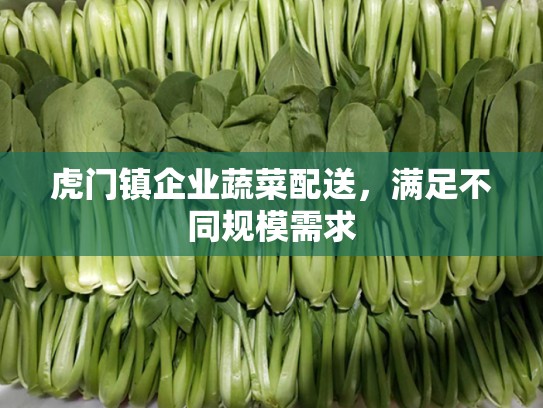 虎门镇企业蔬菜配送，满足不同规模需求