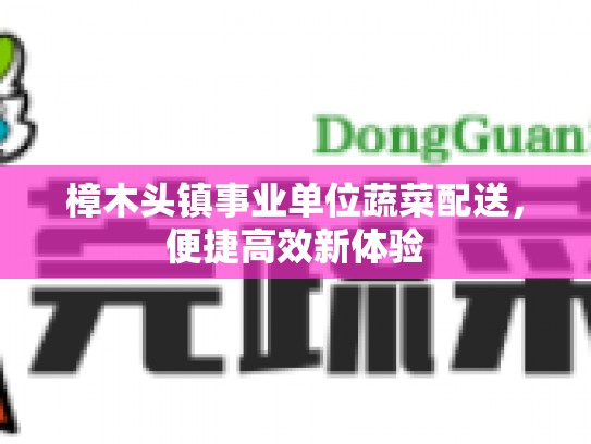 樟木头镇事业单位蔬菜配送，便捷高效新体验