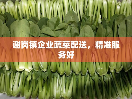 谢岗镇企业蔬菜配送，精准服务好