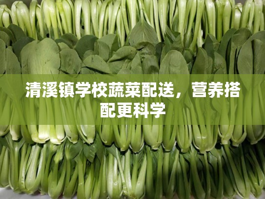 清溪镇学校蔬菜配送，营养搭配更科学