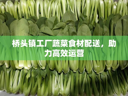 桥头镇工厂蔬菜食材配送，助力高效运营