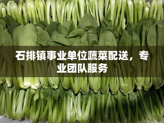 石排镇事业单位蔬菜配送，专业团队服务