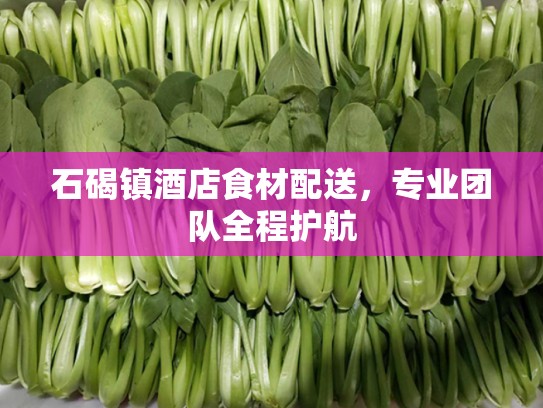 石碣镇酒店食材配送，专业团队全程护航