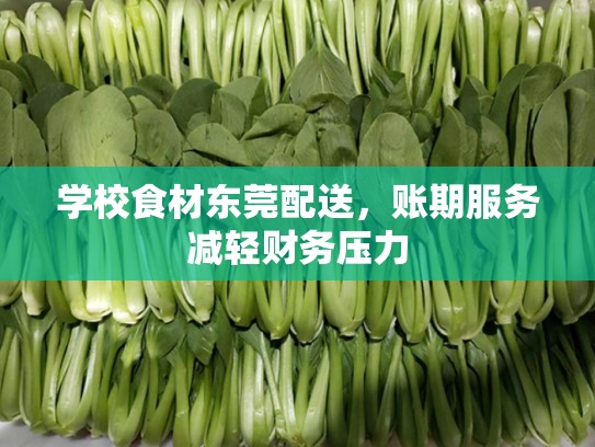学校食材东莞配送，账期服务减轻财务压力