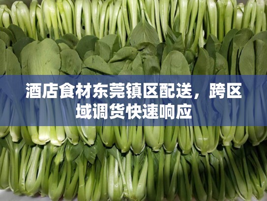 酒店食材东莞镇区配送，跨区域调货快速响应